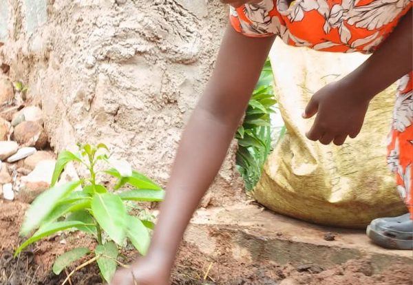 WhatsApp Image 2026-01-15 at 12.29.14